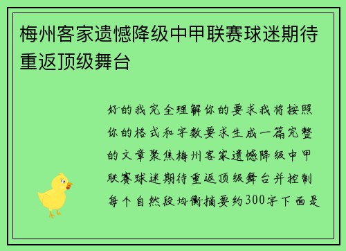梅州客家遗憾降级中甲联赛球迷期待重返顶级舞台 梅州客家遗憾降级中甲联赛球迷期待重返顶级舞台